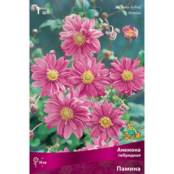 ������ ������ ������� ��������� ������   ����