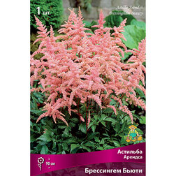 ������ ������ �������� ������� ���������� �����   ����