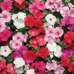 ������ ������ ���������� �������� ���� (1��-1000��) ���������������� ������   ����