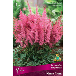 ������ ������ �������� ��������� (���� ����)   ����