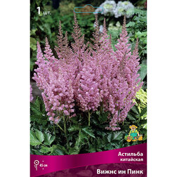 ������ ������ �������� ��������� (����� �� ����)   ����