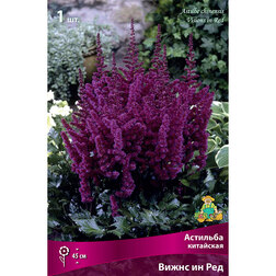 ������ ������ �������� ��������� (����� �� ���)   ����