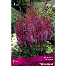 ������ ������ �������� ��������� (�����������)   ����