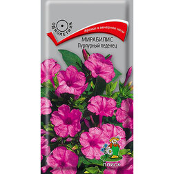 ������ ������ ��������� ��������� �������   ����