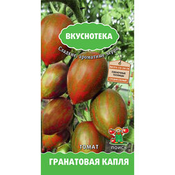 ������ ������ ����� ���������� ����� (����������)   ����