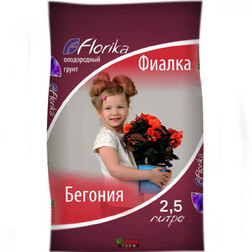 ������ ������ ����� �������-������ ( 2,5�.) ���� ���� �������   ����