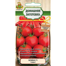 ������ ������ ����� ����� F1 (�������� ���������)   ����