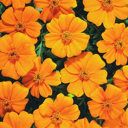 ������ ������ �������� ����������� ����� ����� (1��-1000��) ���������������� ������   ����