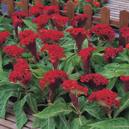 ������ ������ ������� ����������� ����� ����� (1��-1000��) ���������������� ������   ����