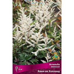 ������ ������ �������� �������� ���� �� �������   ����