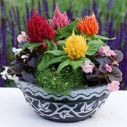 ������ ������ ������� �������� ������� ���� (1��-1000��) ���������������� ������   ����