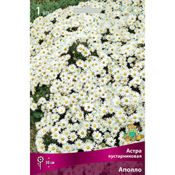 ������ ������ ����� ������������� ������   ����