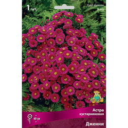 ������ ������ ����� ������������� ������   ����