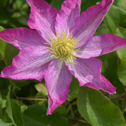 ������ ������ �������� ��������������� ����   ����