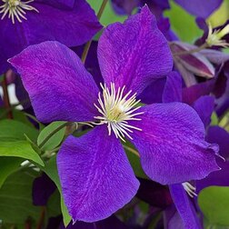 ������ ������ �������� ��������������� �������   ����