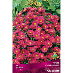 ������ ������ ����� ������������� ��������   ����