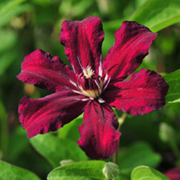 ������ ������ �������� ��������������� ������   ����