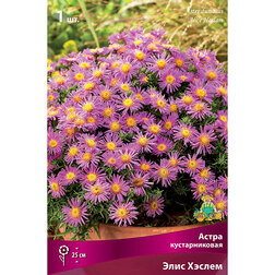 ������ ������ ����� ������������� ���� ������   ����