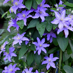 ������ ������ �������� ��������������� ����   ����