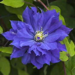 ������ ������ �������� ��������������� ��������   ����