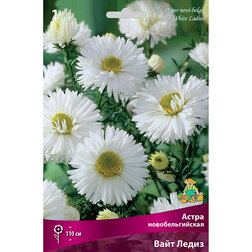 ������ ������ ����� ��������������� ���� �����   ����