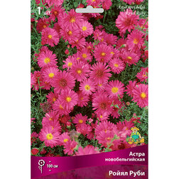 ������ ������ ����� ��������������� ����� ����   ����