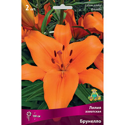 ������ ������ ����� ��������� �������� (2 ��.)   ����