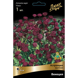 ������ ������ ��������� ������� �������   ����