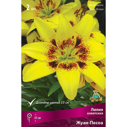 ������ ������ ����� ��������� ����-����� (2 ��.)   ����