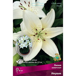 ������ ������ ����� ��������� ������ (2 ��.)   ����