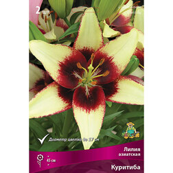 ������ ������ ����� ��������� �������� (2 ��.)   ����