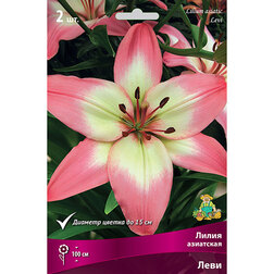 ������ ������ ����� ��������� ���� (2 ��.)   ����