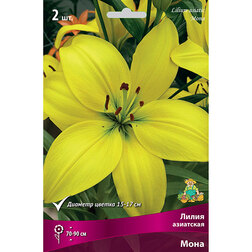 ������ ������ ����� ��������� ���� (2 ��.)   ����