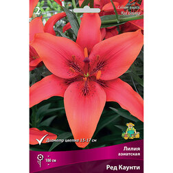 ������ ������ ����� ��������� ��� ������ (2 ��.)   ����