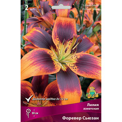 ������ ������ ����� ��������� ������� ������ (2 ��.)   ����