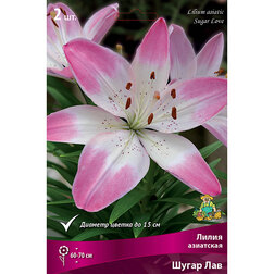 ������ ������ ����� ��������� ����� ��� (2 ��.)   ����