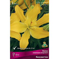 ������ ������ ����� ��������� �������� ���������� (2 ��.)   ����