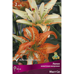 ������ ������ ����� ��������� �������� ���� �� (2 ��.)   ����