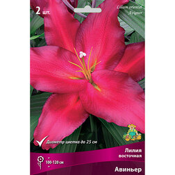 ������ ������ ����� ��������� ������� (2 ��.)   ����