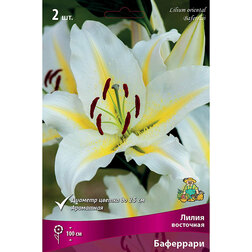 ������ ������ ����� ��������� ��������� (2 ��.)   ����