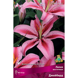 ������ ������ ����� ��������� �������� (2 ��.)   ����