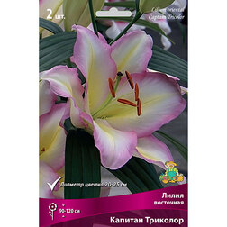 ������ ������ ����� ��������� ������� �������� (2 ��.)   ����