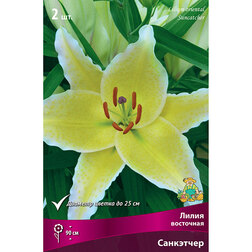 ������ ������ ����� ��������� ��������� 2 ��.   ����