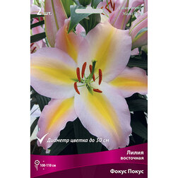 ������ ������ ����� ��������� ����� ����� (2 ��.)   ����