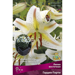 ������ ������ ����� ��������� ��������� ������ ����� (2 ��.)   ����