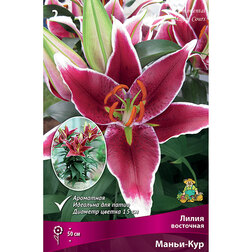 ������ ������ ����� ��������� ��������� �����-��� (2 ��.)   ����