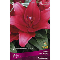 ������ ������ ����� ��-������ �������� (2 ��.)   ����