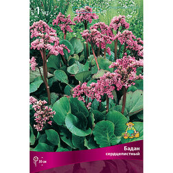 ������ ������ ����� �������������   ����