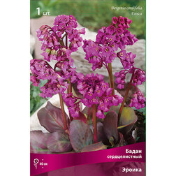 ������ ������ ����� ������������� ������   ����