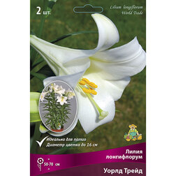 ������ ������ ����� ����������� ����� ����� (2 ��.)   ����